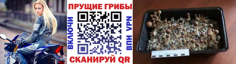 Галлюциногенные грибы мицелий  KRAKEN как войти  Салават 