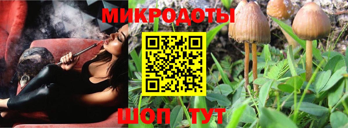 Салават  Псилоцибиновые грибы MAGIC MUSHROOMS  Вход с VPN 
